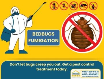 Bed Bugs Treatment In Karachi By One Roof Fumigation Services