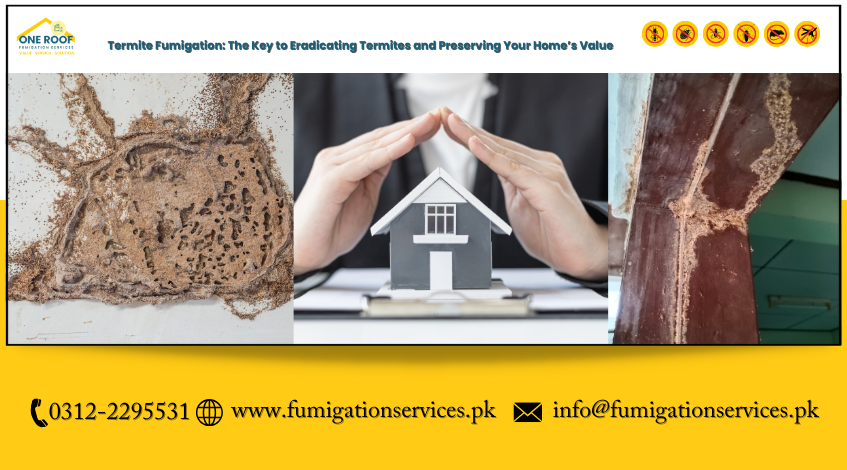 Termite Fumigation The Key to Eradicating Termites and Preserving Your Home's Value