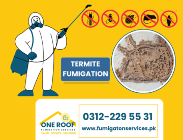 termite fumigation