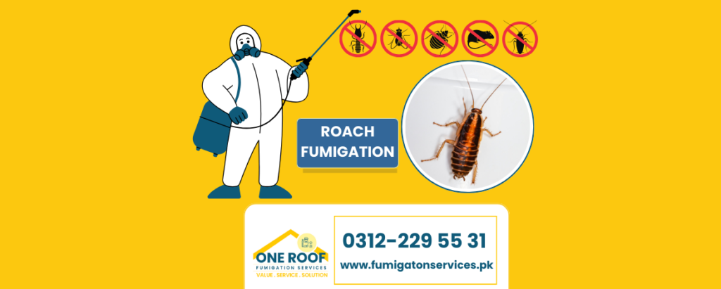 Roach Fumigation