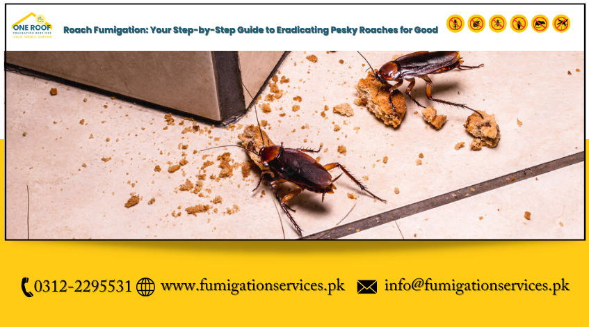 Roach Fumigation Your Step-by-Step Guide to Eradicating Pesky Roaches for Good