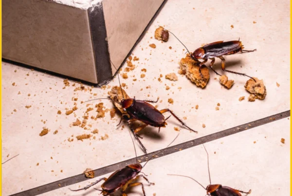Roach Fumigation