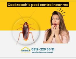 Cockroach’s pest control