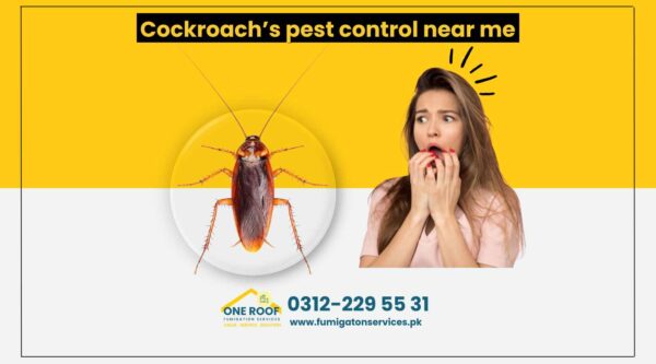 Cockroach’s pest control