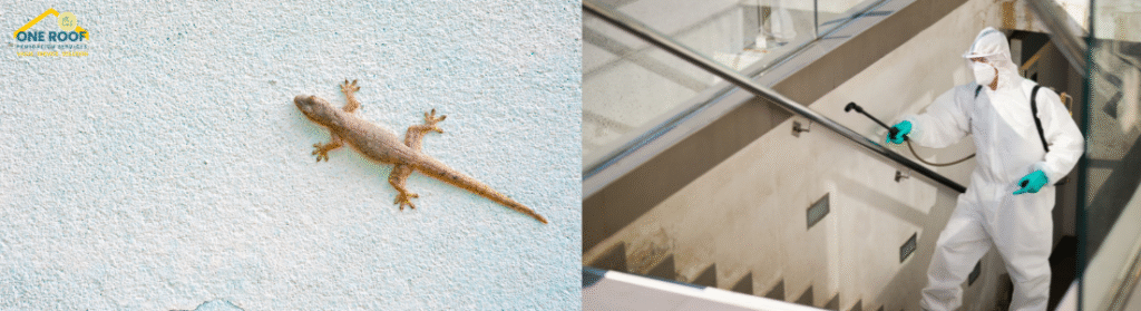 Lizard killer spray One Roof