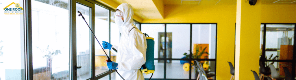 Best Fumigation Company in Karachi One Roof
