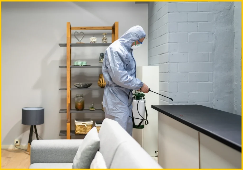 Fumigation service for your home