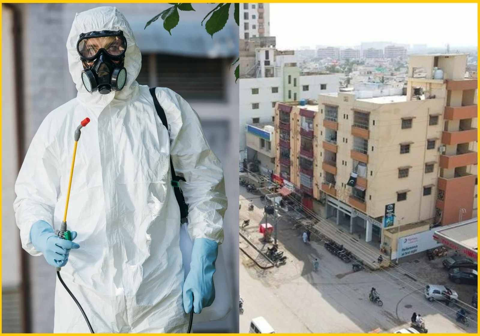 Pest Control Services in Karachi