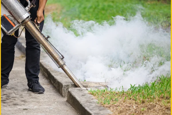 Mosquito Control Service