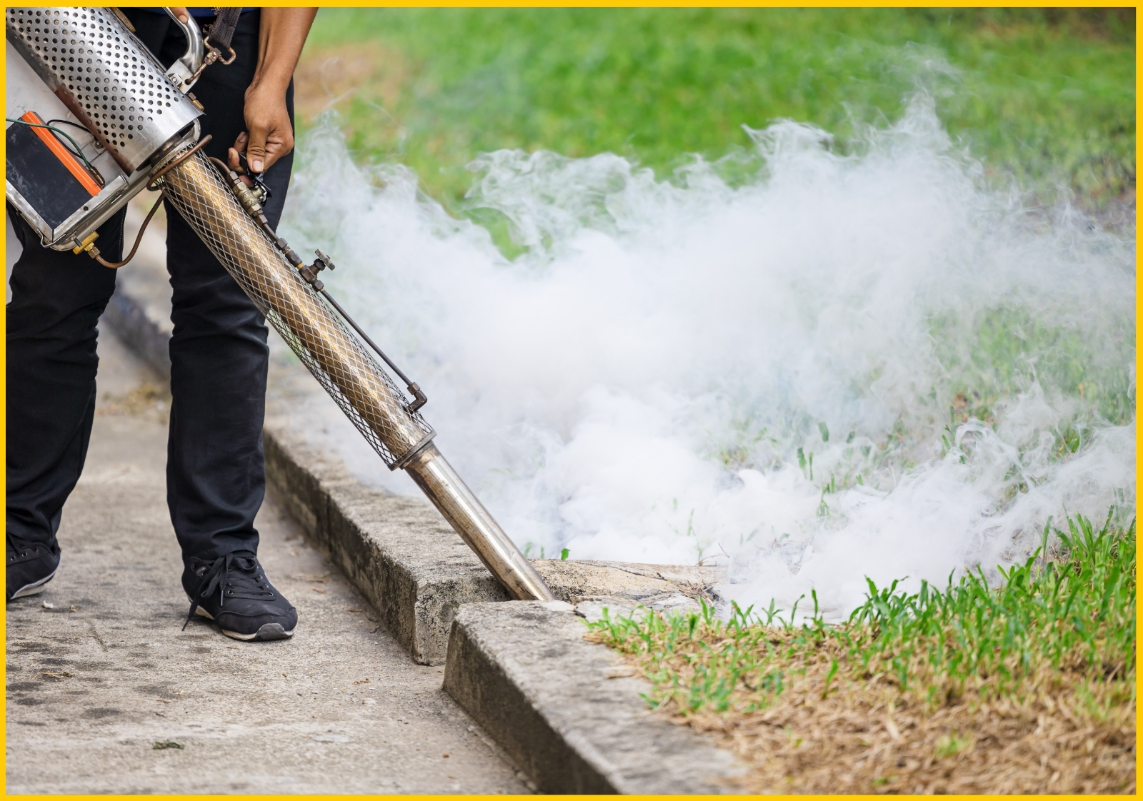 Mosquito Control Services
