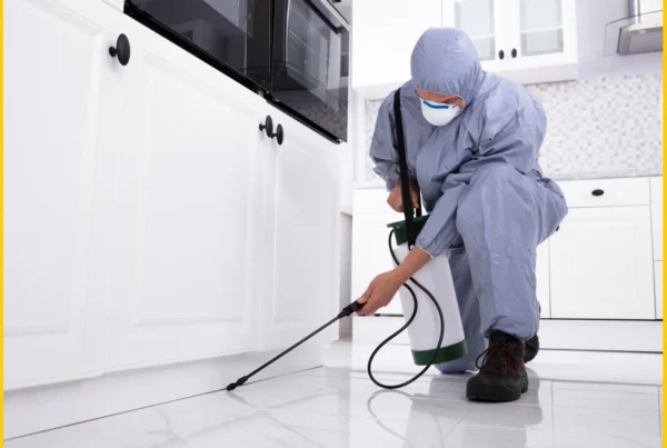 fumigation services in Clifton