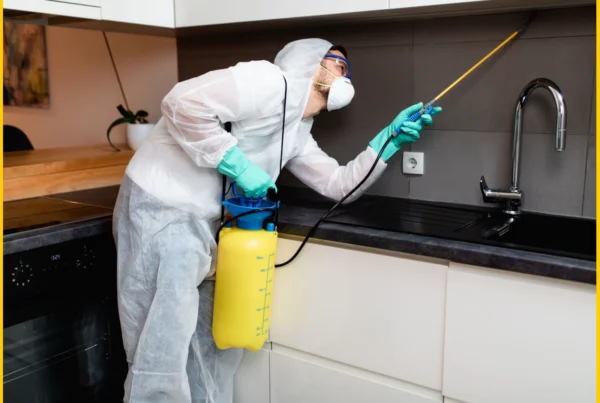 Roaches fumigation services