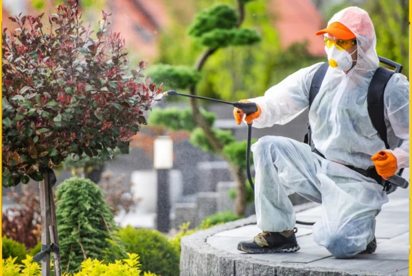 Mosquito Control Karachi