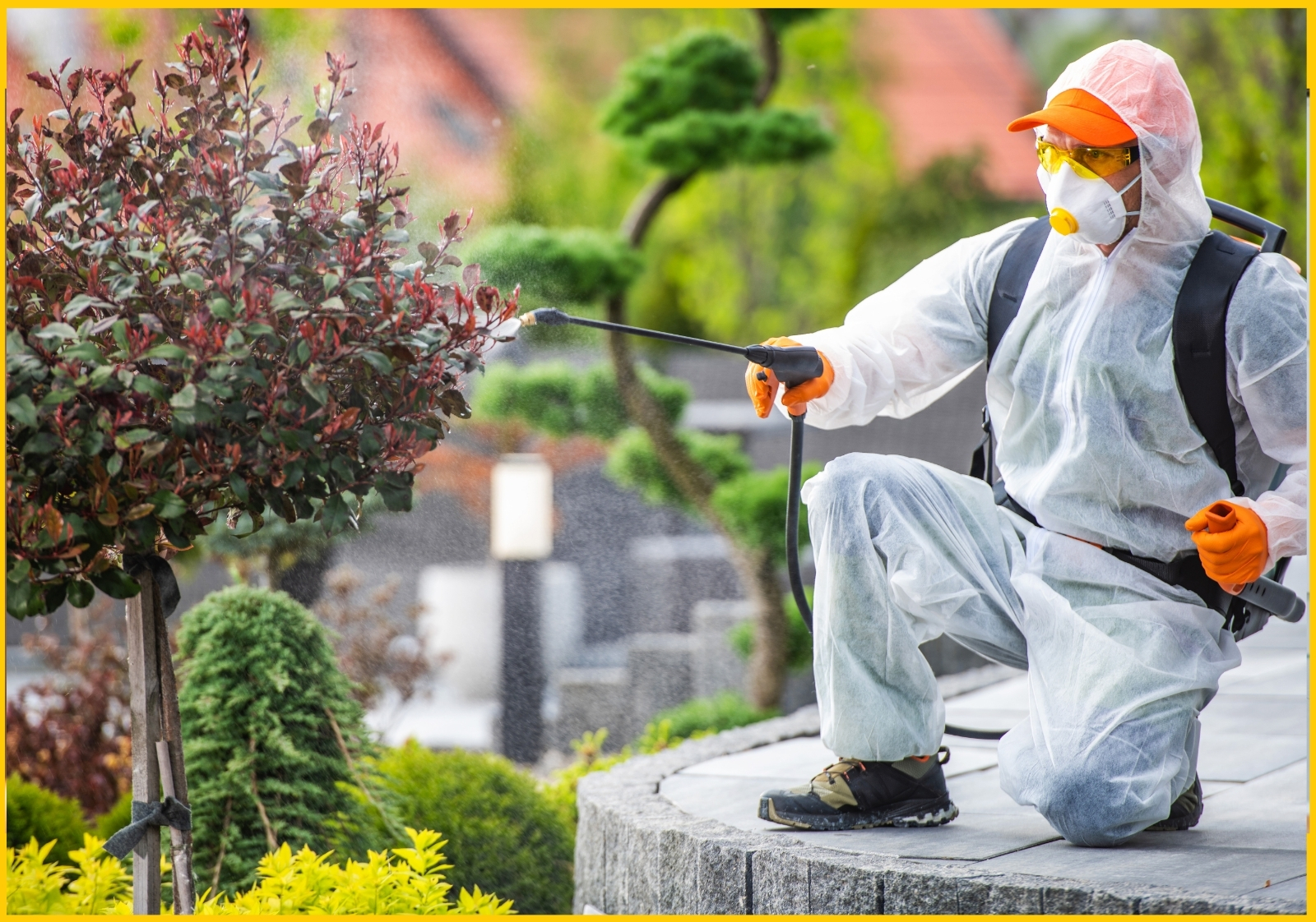 Mosquito Control: how to protect your home and yard from mosquitoes