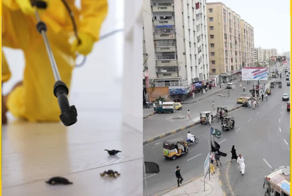 Fumigation in Gulistan-e-Jauhar