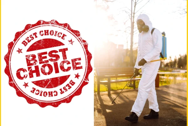 Best Pest Control Services