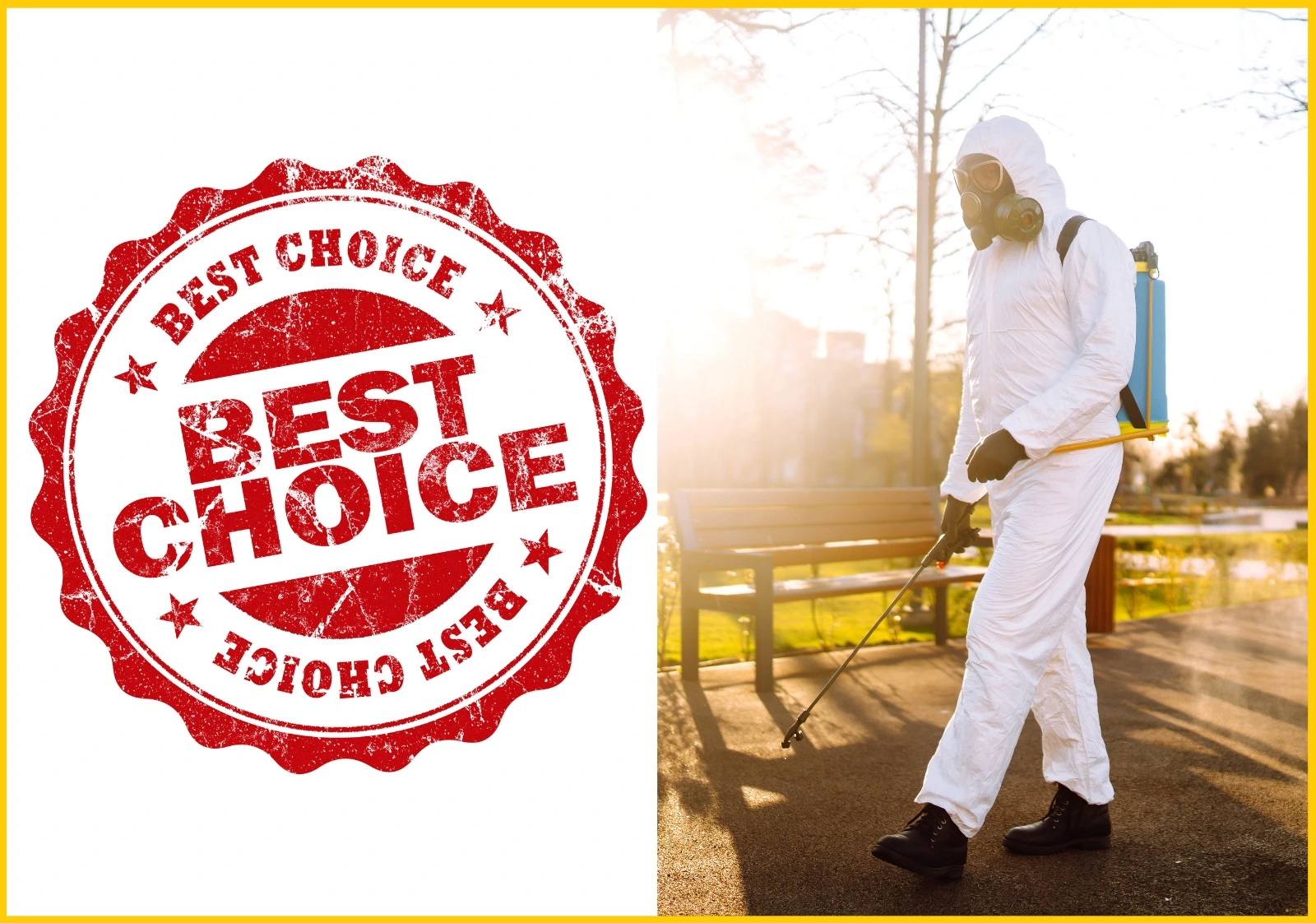 Best Pest Control Services