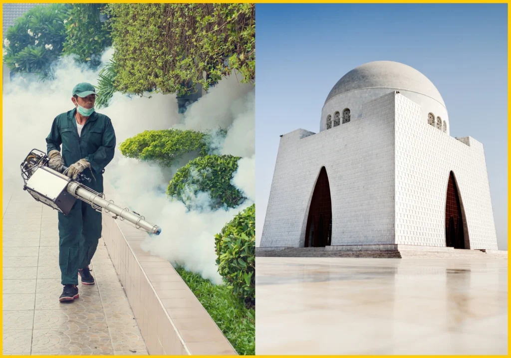 Best Pest Control for Mosquitoes in Karachi