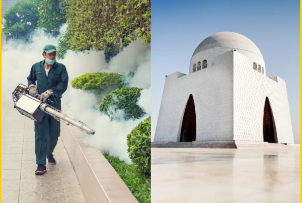 Best Pest Control for Mosquitoes in Karachi