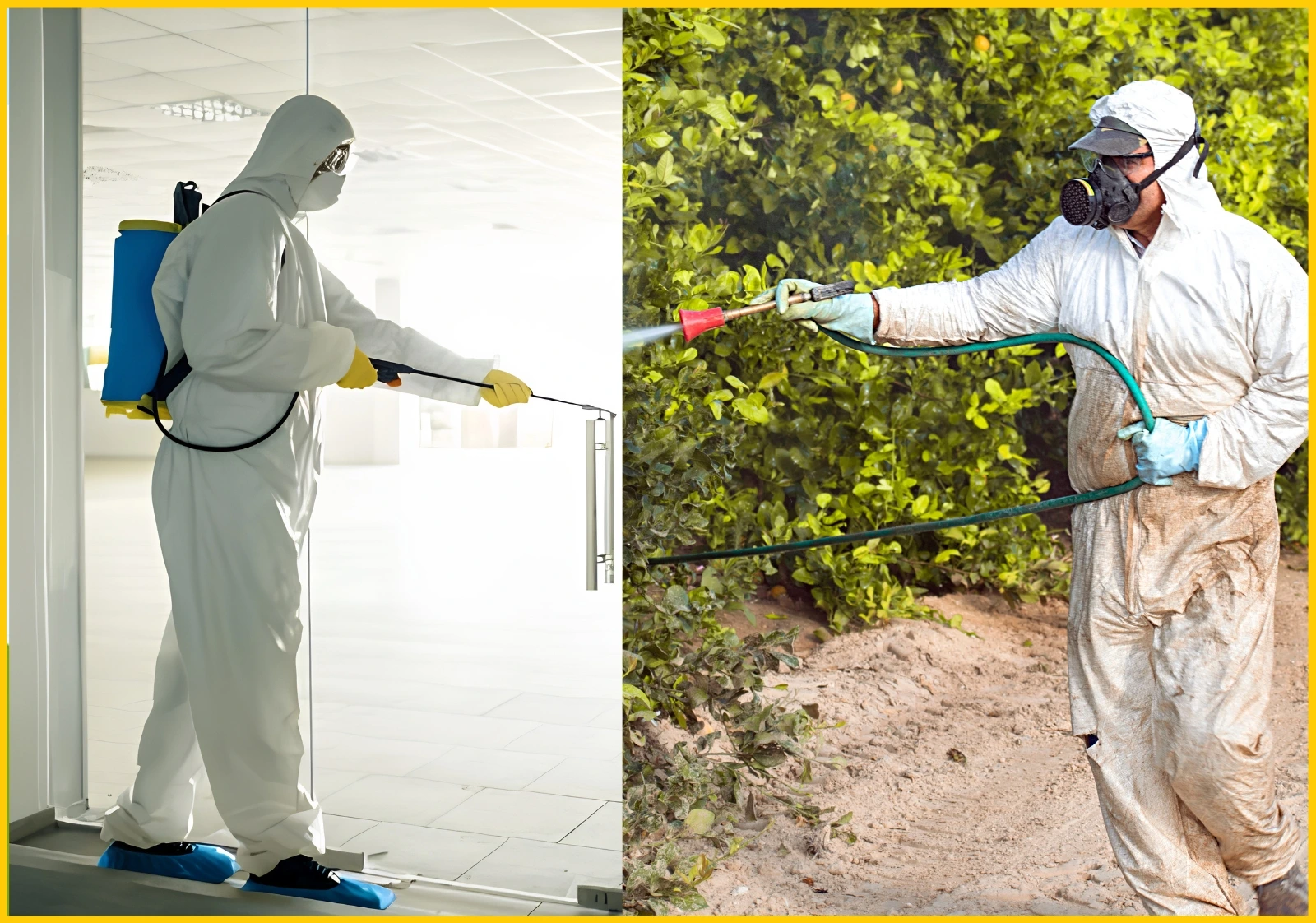 Difference between pest control and fumigation​