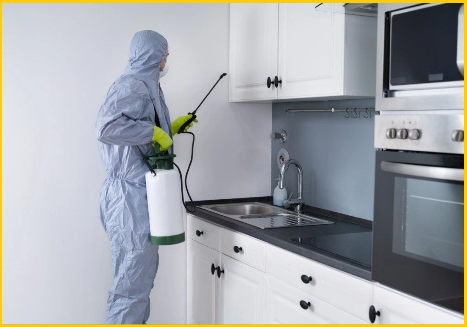 Pest Control Services Near Me