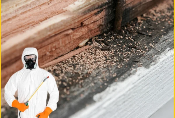 Termite Fumigation Services