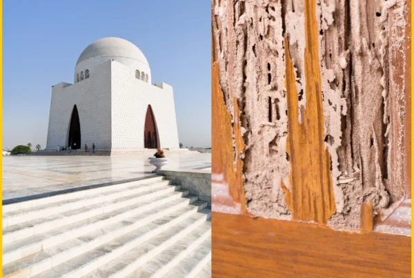 Termite Treatment