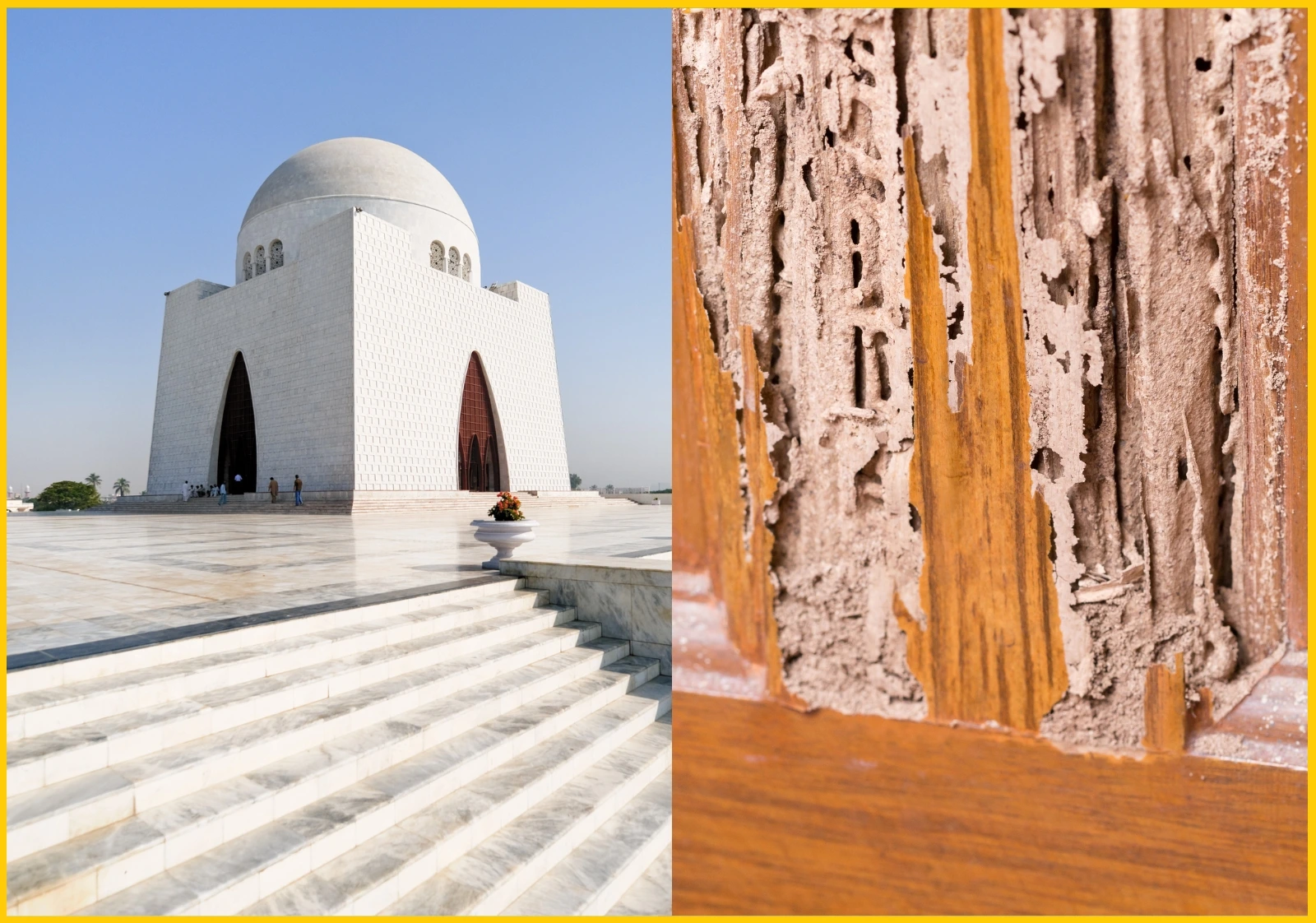 Termite treatment in Karachi