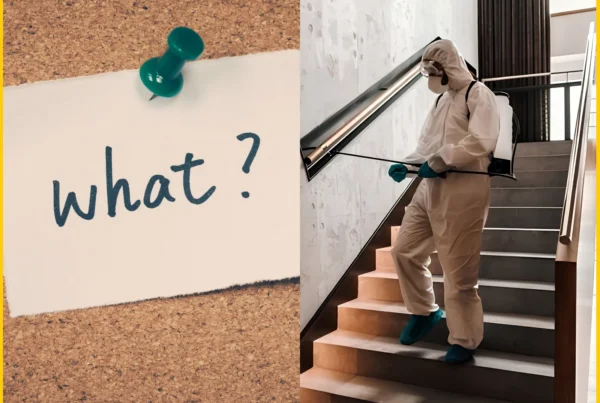 What is fumigation