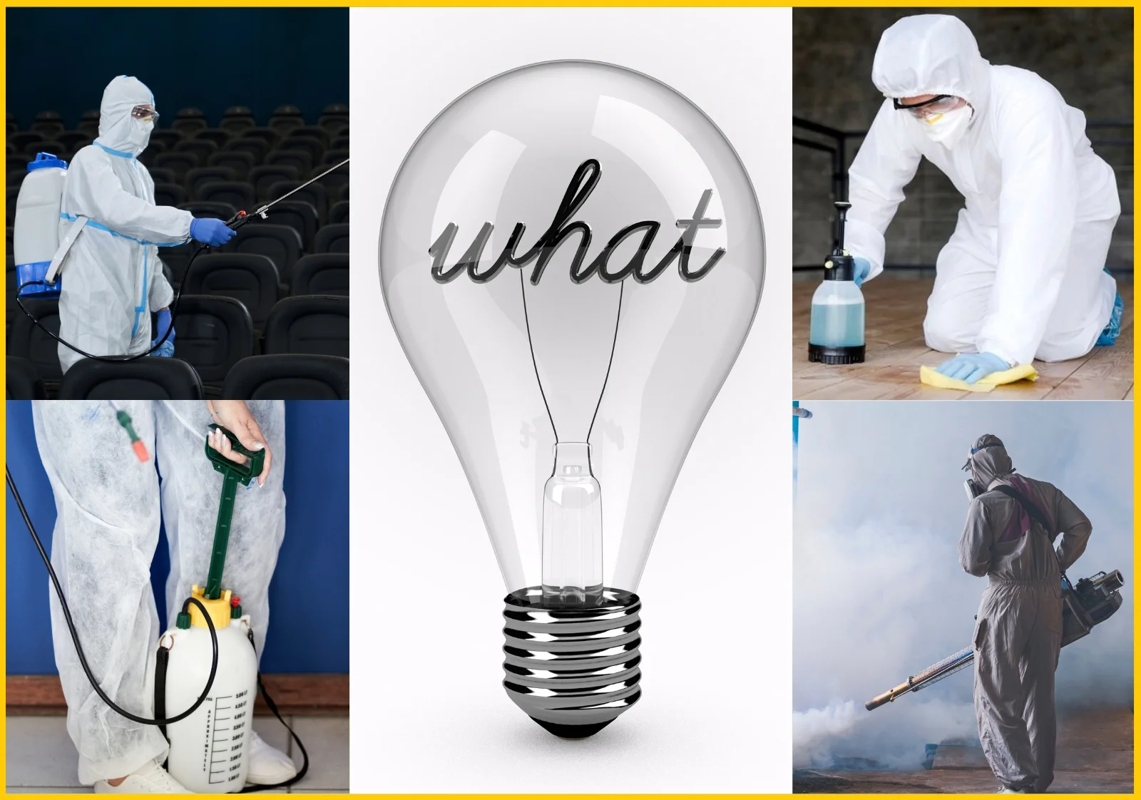 What is the Fumigation Process