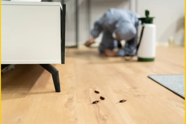 Best cockroach exterminator near me