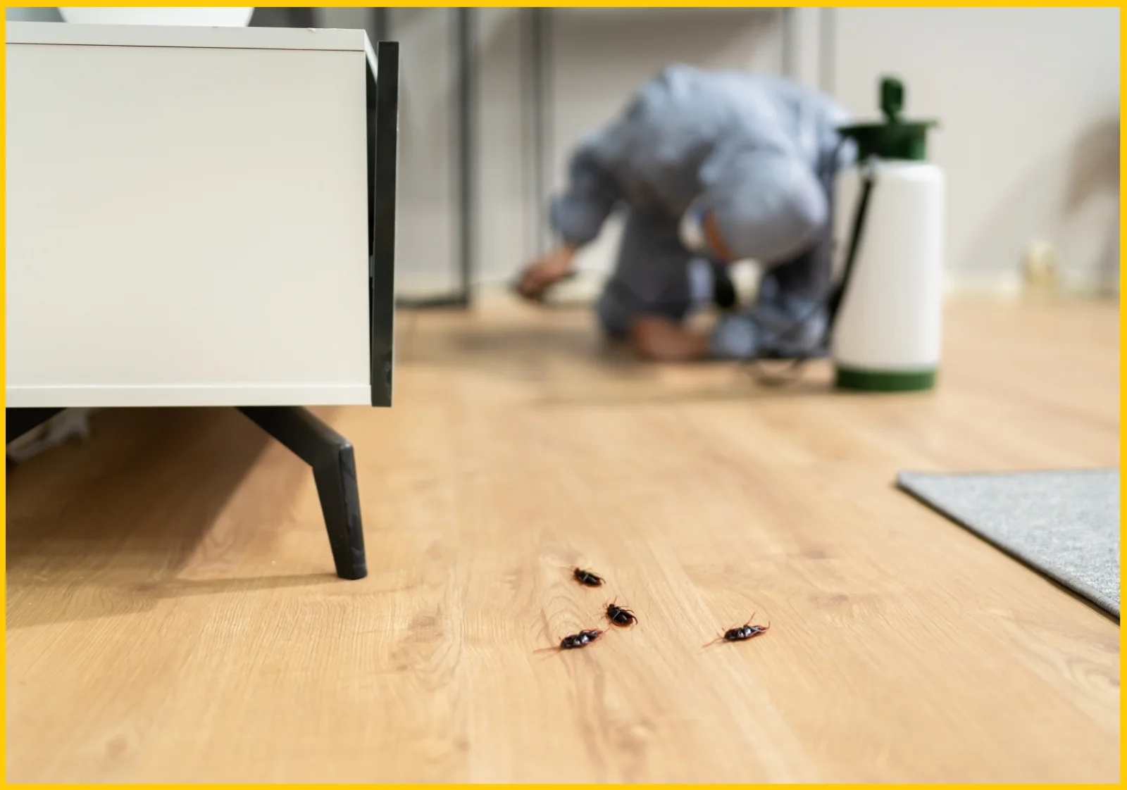 Best Cockroach Exterminator Near Me