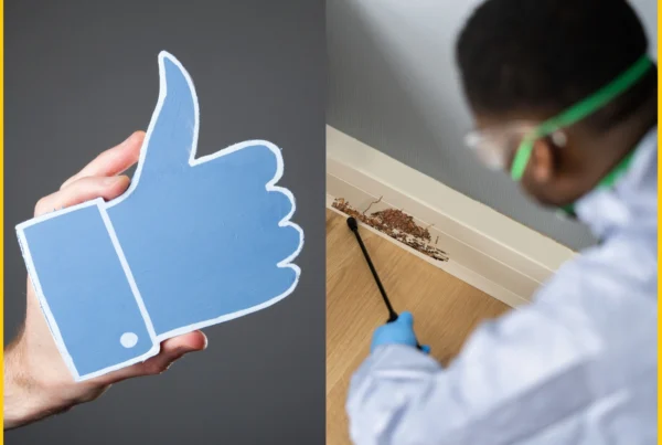 Best Termite Company Near Me