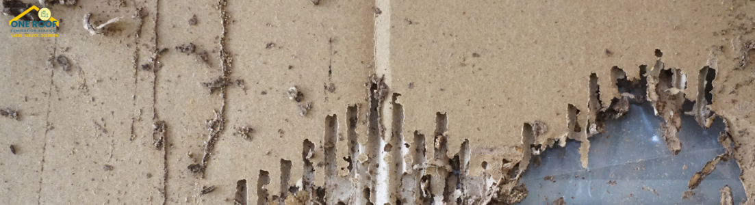 Best Termite Company Near Me - One Roof Fumigtaion 