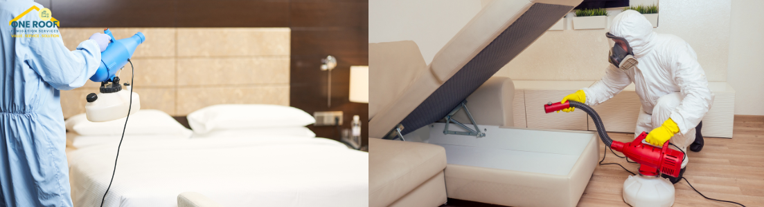 Best Bed Bug Exterminator
