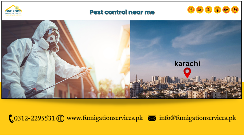 Pest Control Near Me
