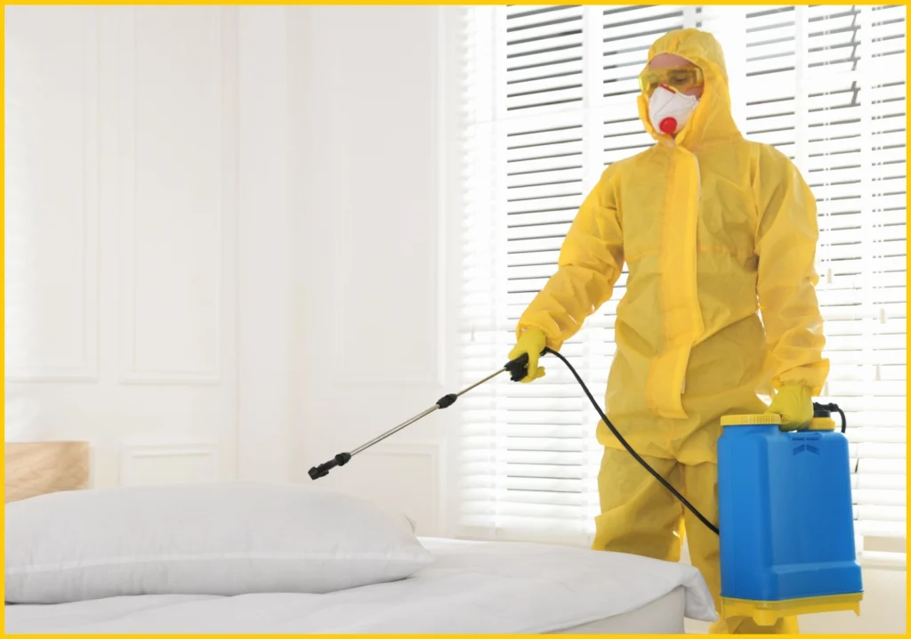 Pest Control Near Me