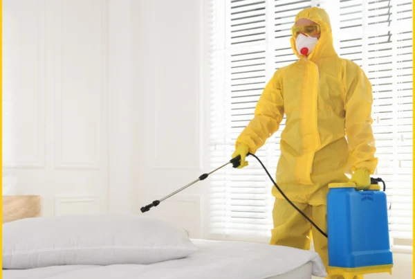 Pest Control Near Me