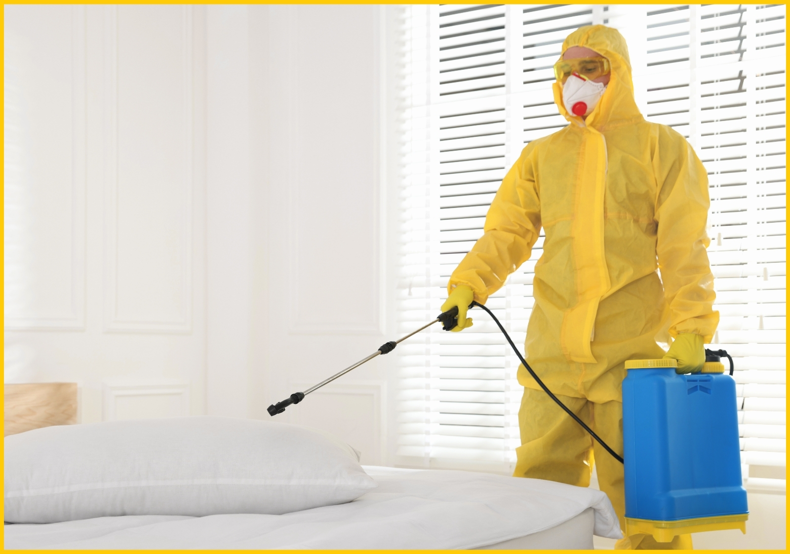 Pest Control Near Me