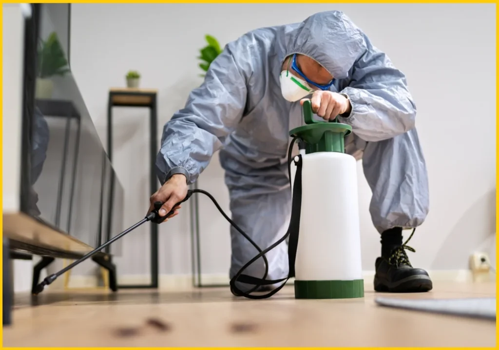 Pest Management Near Me