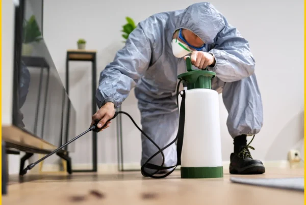 Pest Management Near Me