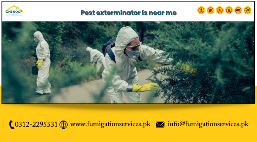 Pest Exterminator Near Me