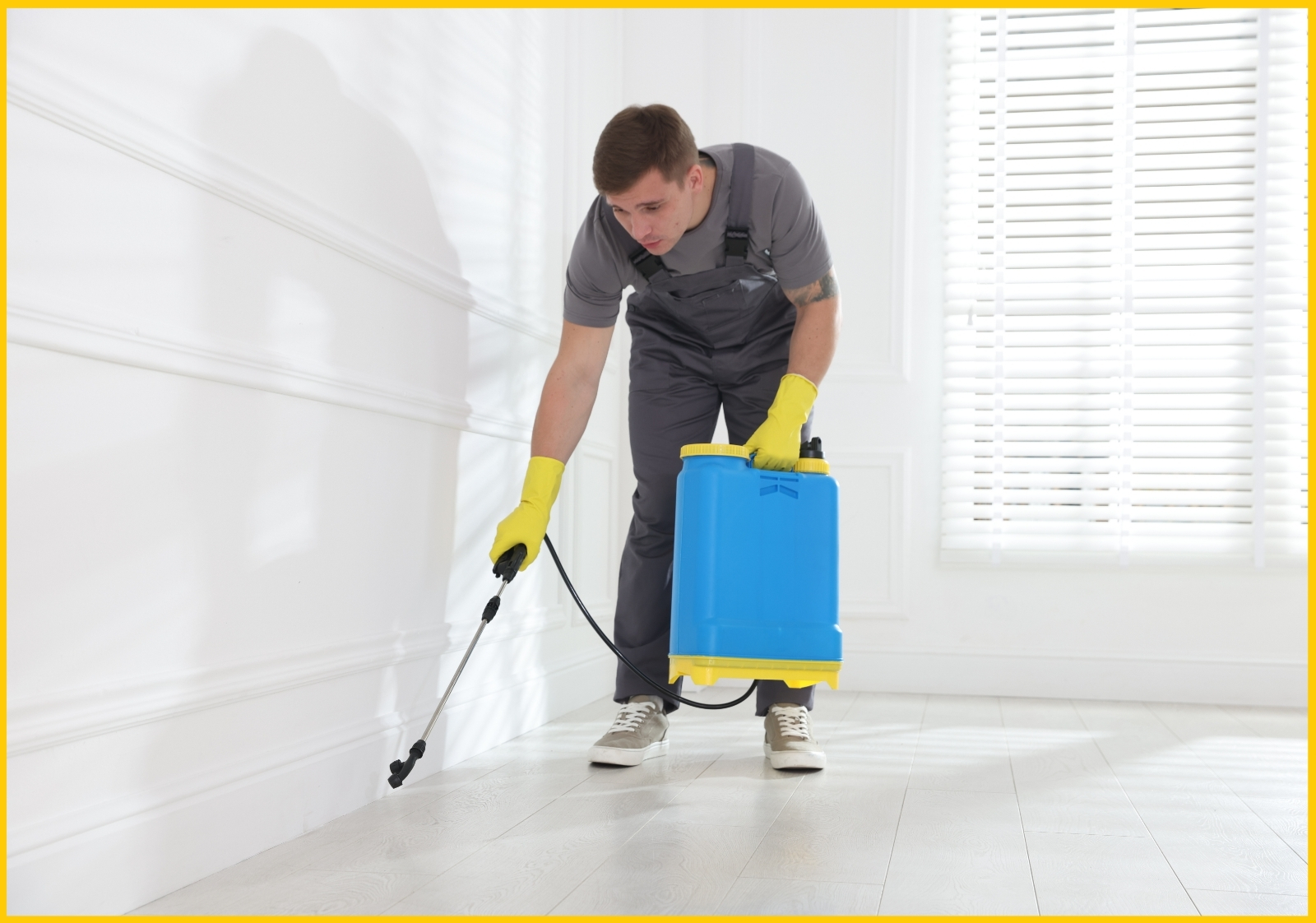 Pest Exterminator Near Me