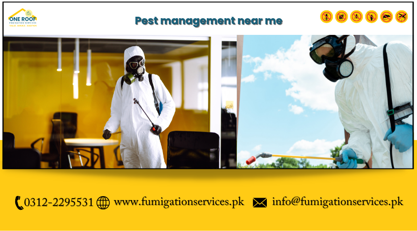 Pest Management Near Me