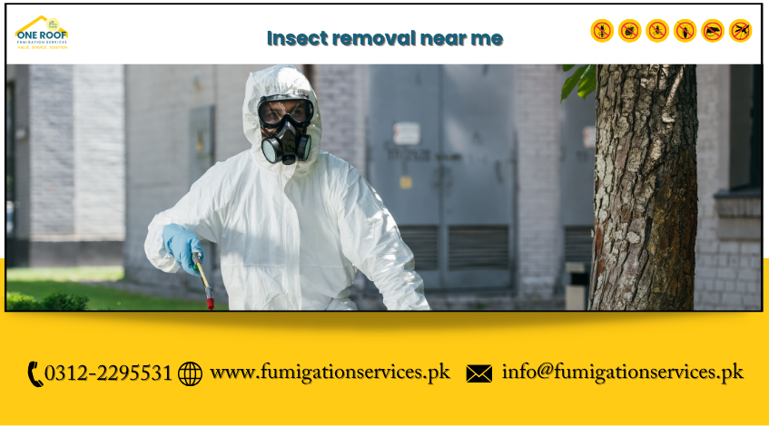 Insect Removal Near Me