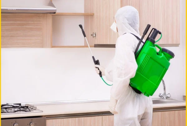 Exterminator Pest Control Near Me