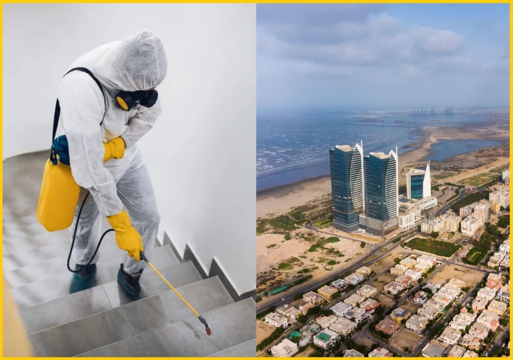 Near Me Pest Control