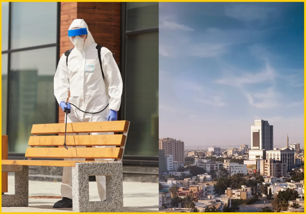 Pest Control Near Me