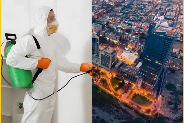 Vermin Control Near Me