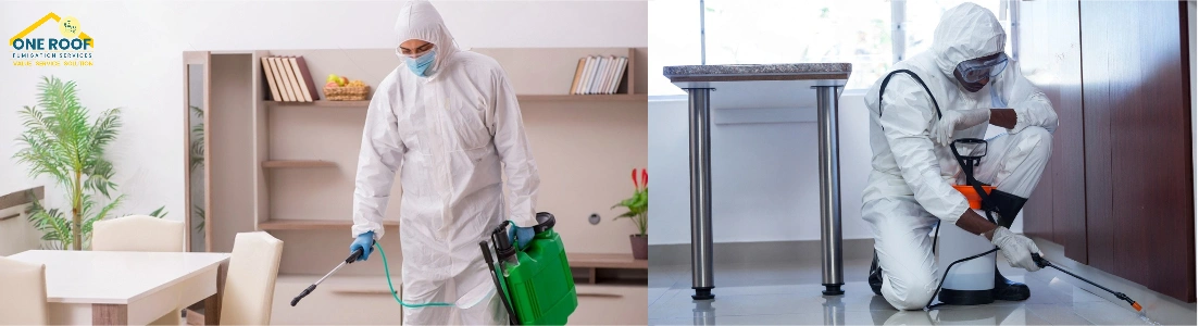 Office Fumigation